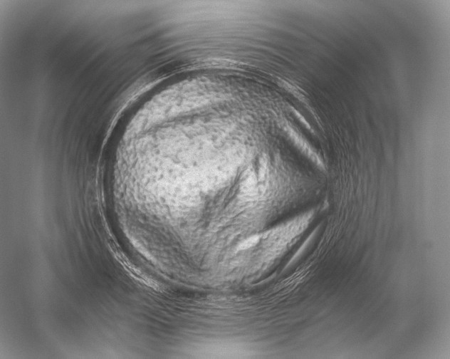 X0000058780987200510171248