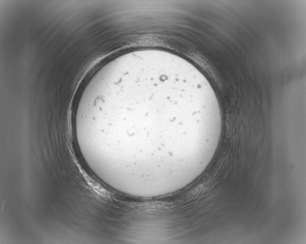 X0000058780988200510171248