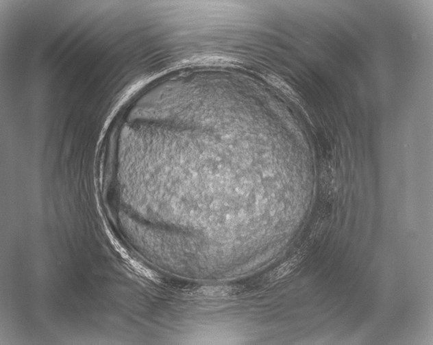 X0000058780989200510171248