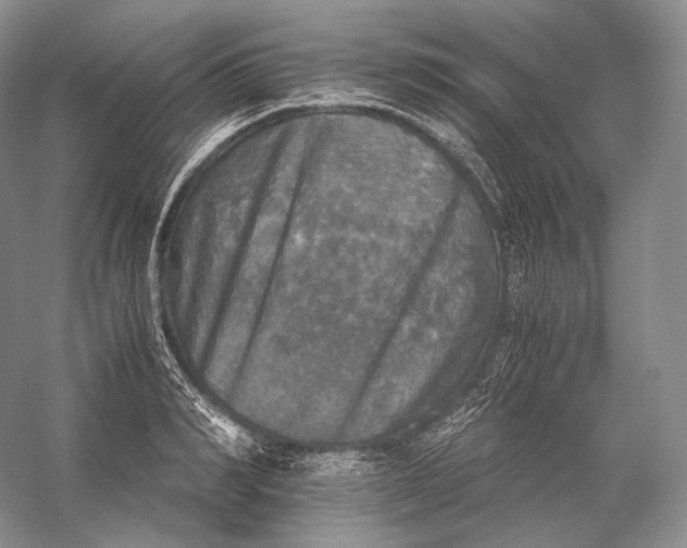 X0000058780990200510171248