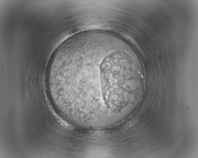 X0000058780991200510171248