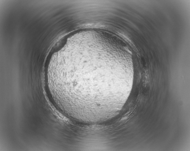 X0000058780992200510171248