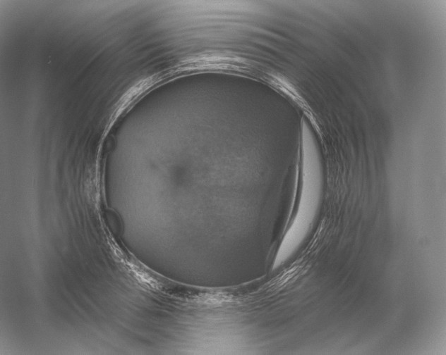 X0000058780994200510171248