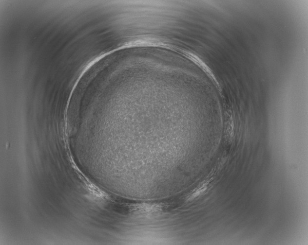 X0000058780996200510171248