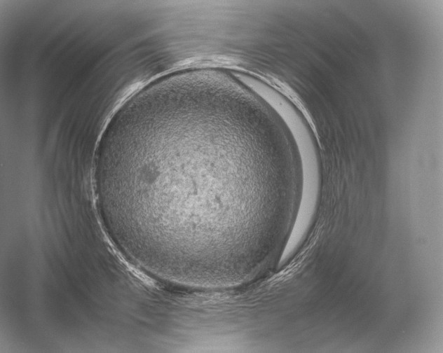 X0000058780997200510171248