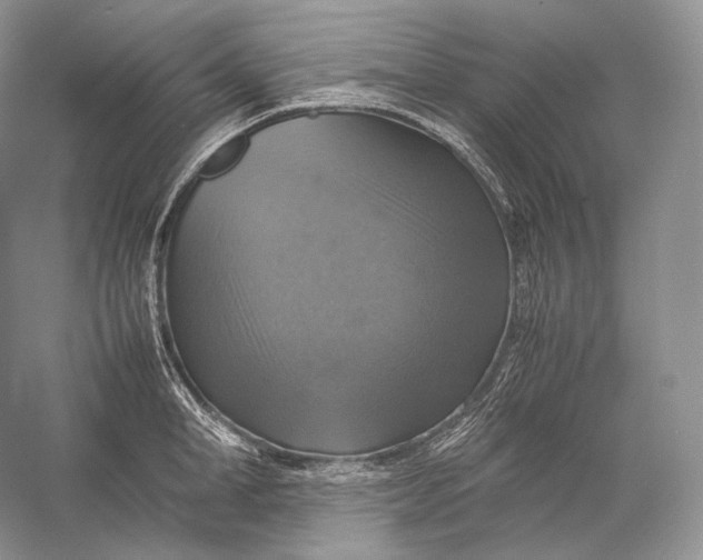 X0000058780998200510171248