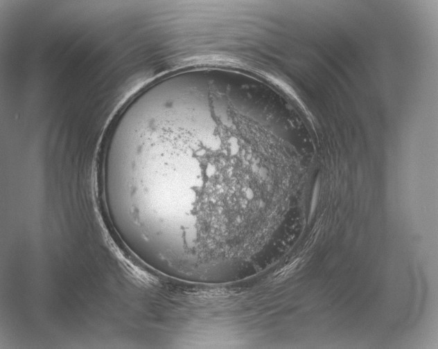 X0000058780999200510171248