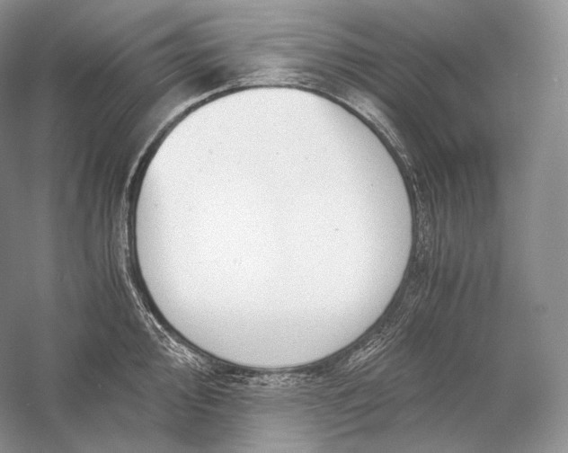 X0000058781000200510171248