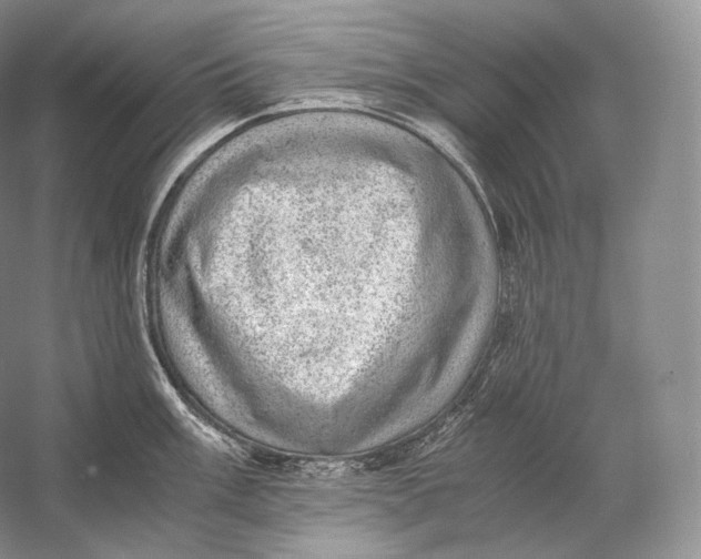 X0000058781003200510171248