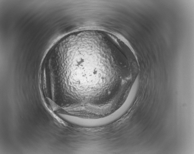 X0000058781005200510171248