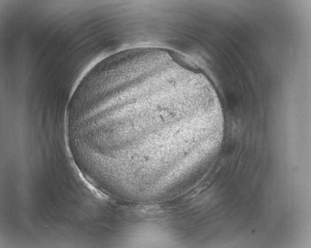 X0000058781006200510171248