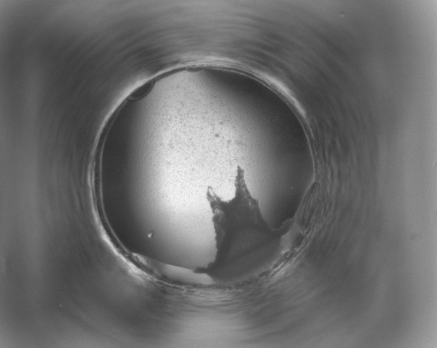 X0000058781007200510171248