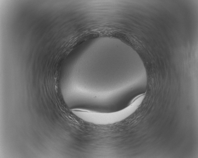 X0000058781010200510171247