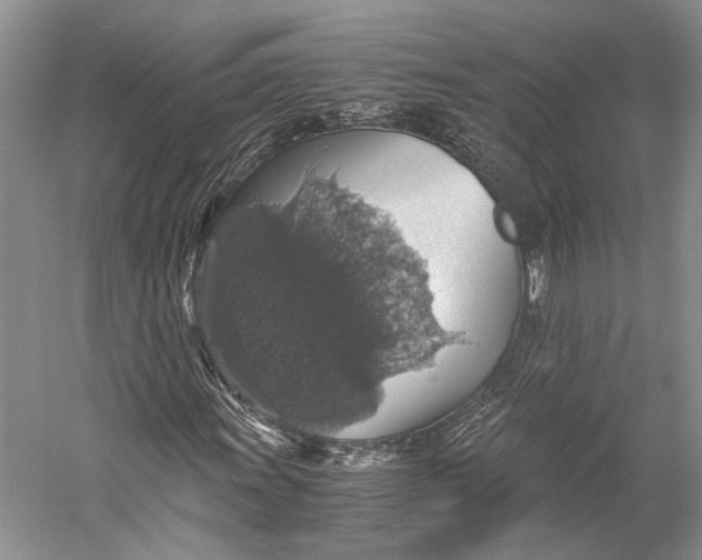 X0000058781011200510171247