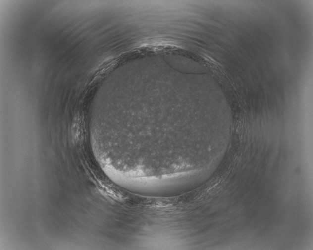 X0000058781014200510171247