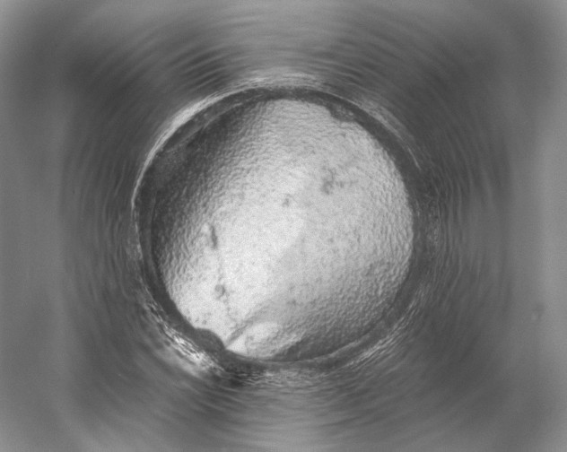 X0000058781022200510171247