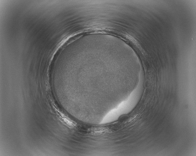 X0000058781023200510171247