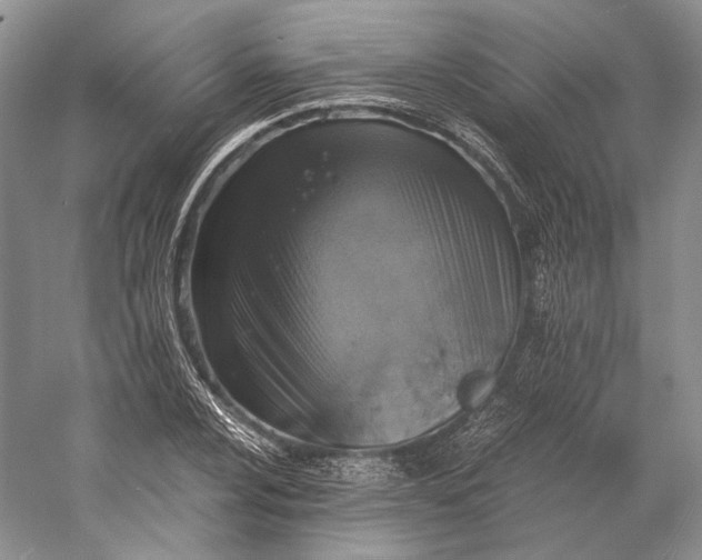 X0000058781024200510171247