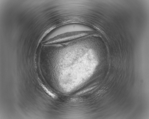 X0000058781026200510171247