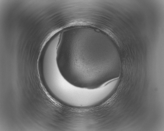 X0000058781030200510171248