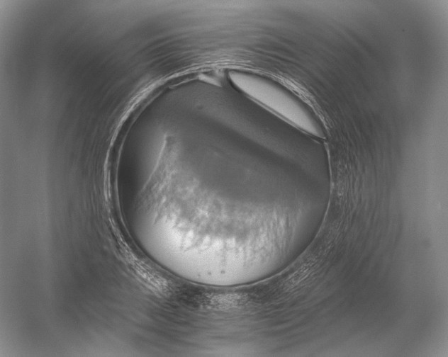 X0000058781031200510171248