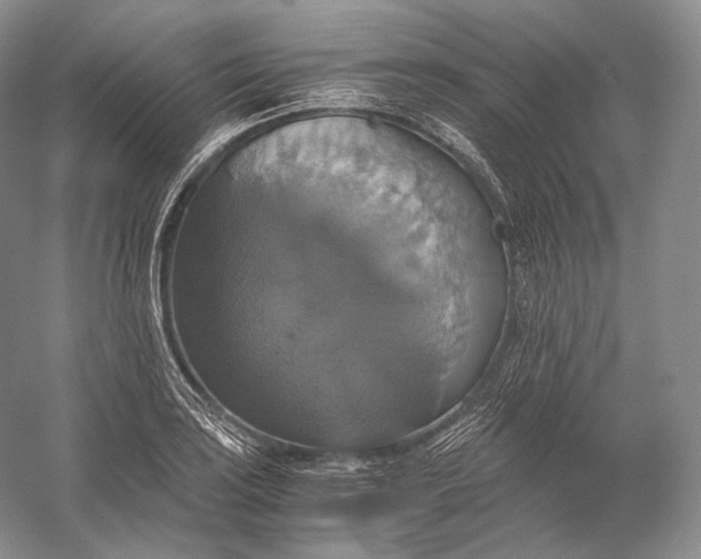 X0000058781035200510171248