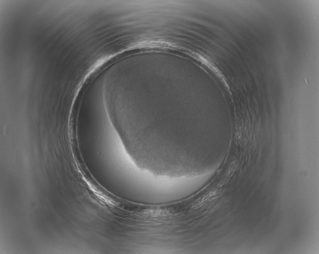 X0000058781037200510171248