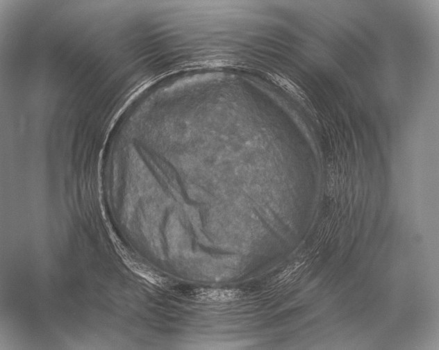 X0000058781039200510171248