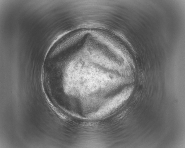 X0000058781040200510171248