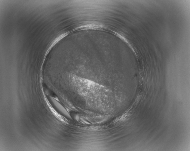 X0000058781042200510171248