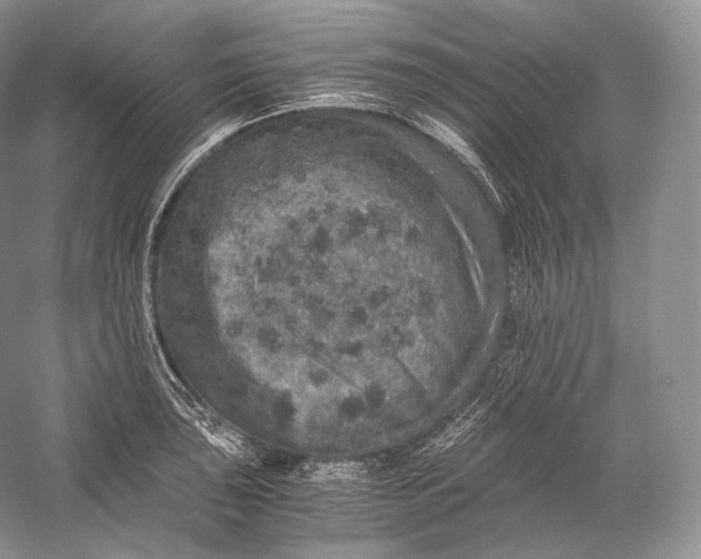 X0000058781043200510171248