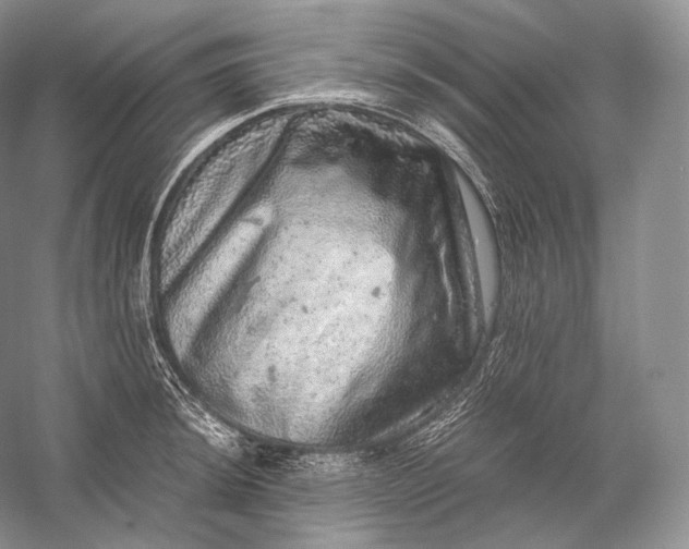 X0000058781044200510171248