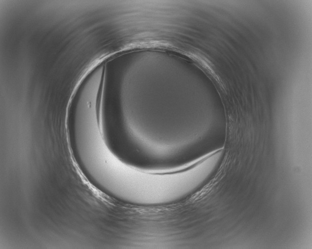 X0000058781046200510171248