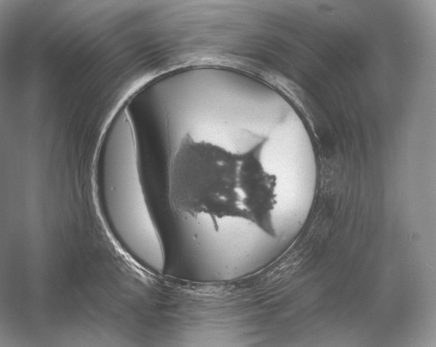 X0000058781048200510171248