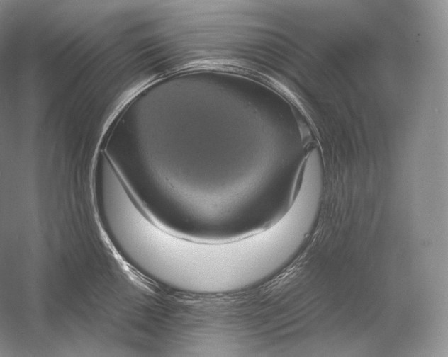 X0000058781050200510171248