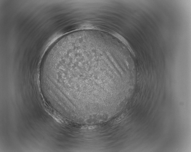 X0000058781051200510171248