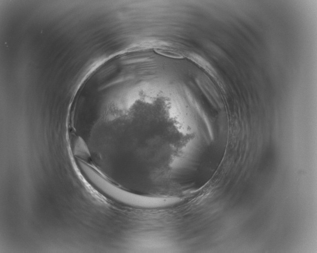 X0000058781055200510171248