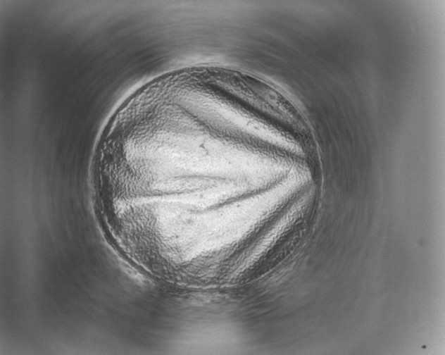 X0000058781056200510171248