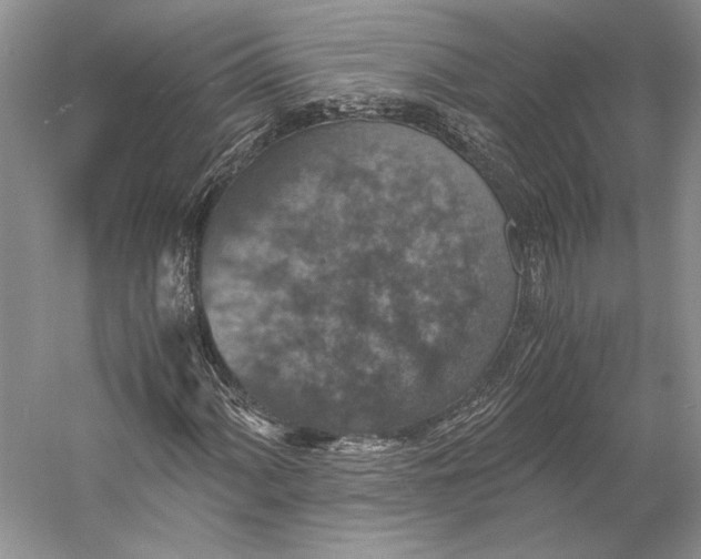 X0000058781060200510171247