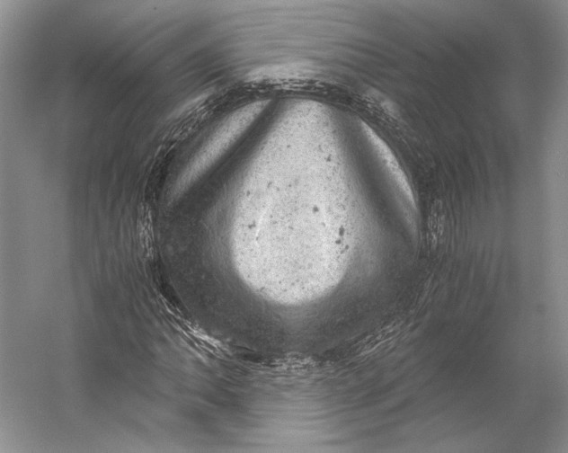 X0000058781062200510171247