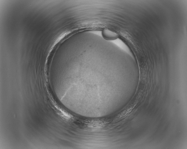 X0000058781071200510171247