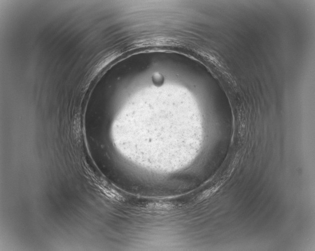 X0000058781073200510171247