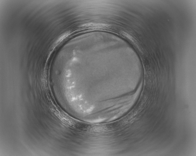 X0000058781074200510171247