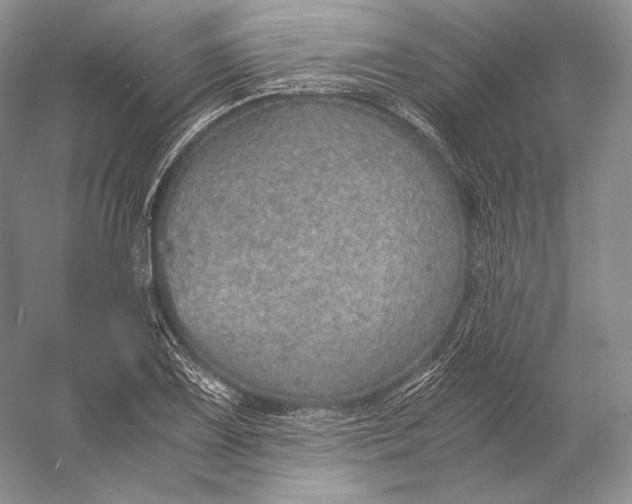 X0000058781075200510171247