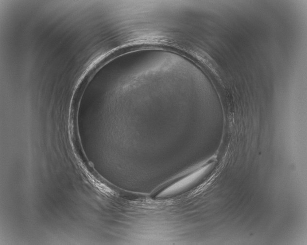 X0000058781077200510171247