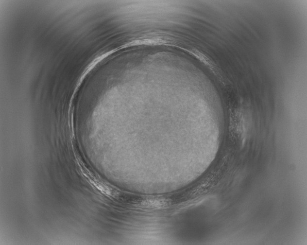 X0000058781078200510171247