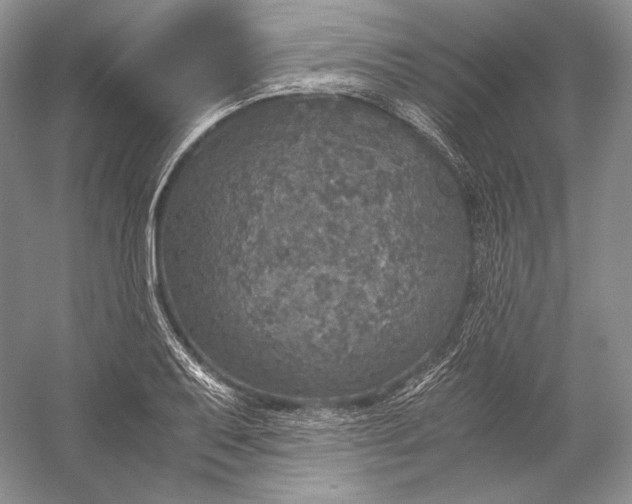 X0000058781079200510171247