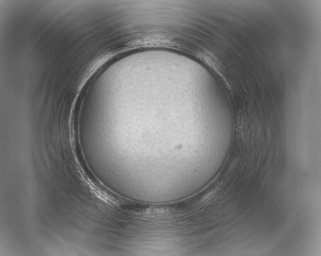 X0000058781082200510171247