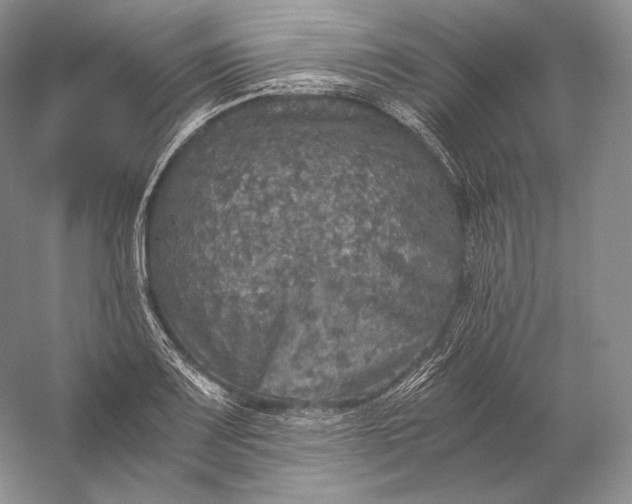 X0000058781083200510171247