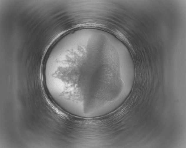 X0000058781084200510171247